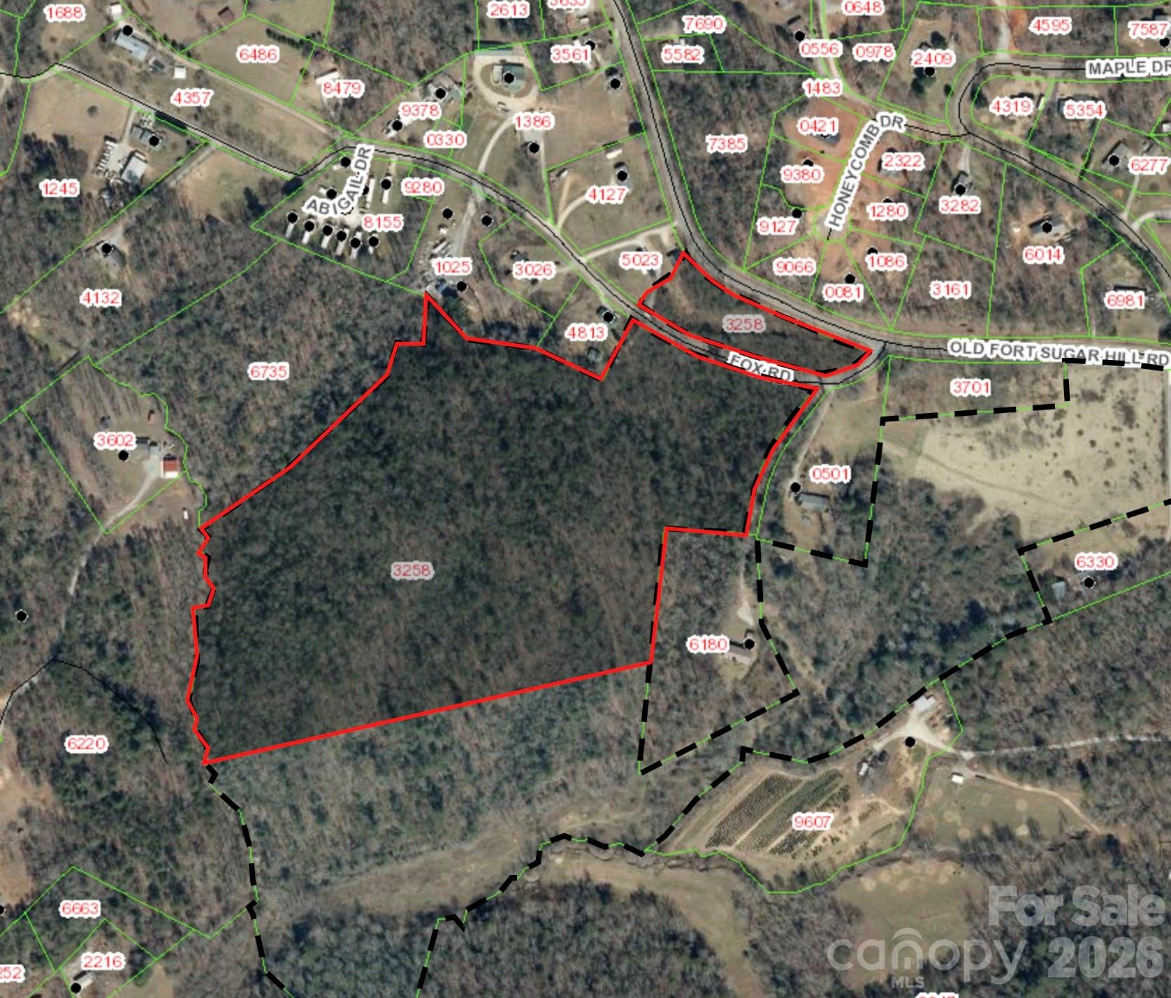 0 Fox Road Old Fort, NC 28762 - Photo 11 of 28 a picture of trees