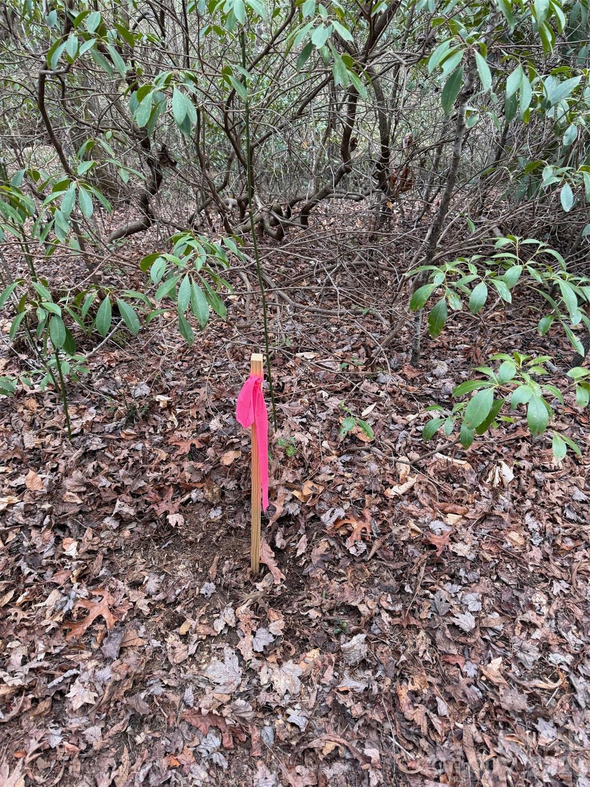 0 Fox Road Old Fort, NC 28762 - Photo 20 of 28
