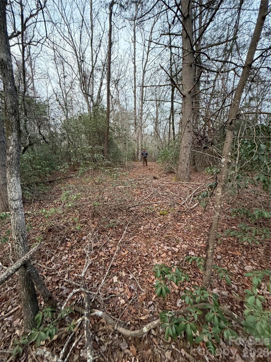 0 Fox Road Old Fort, NC 28762 - Photo 24 of 28
