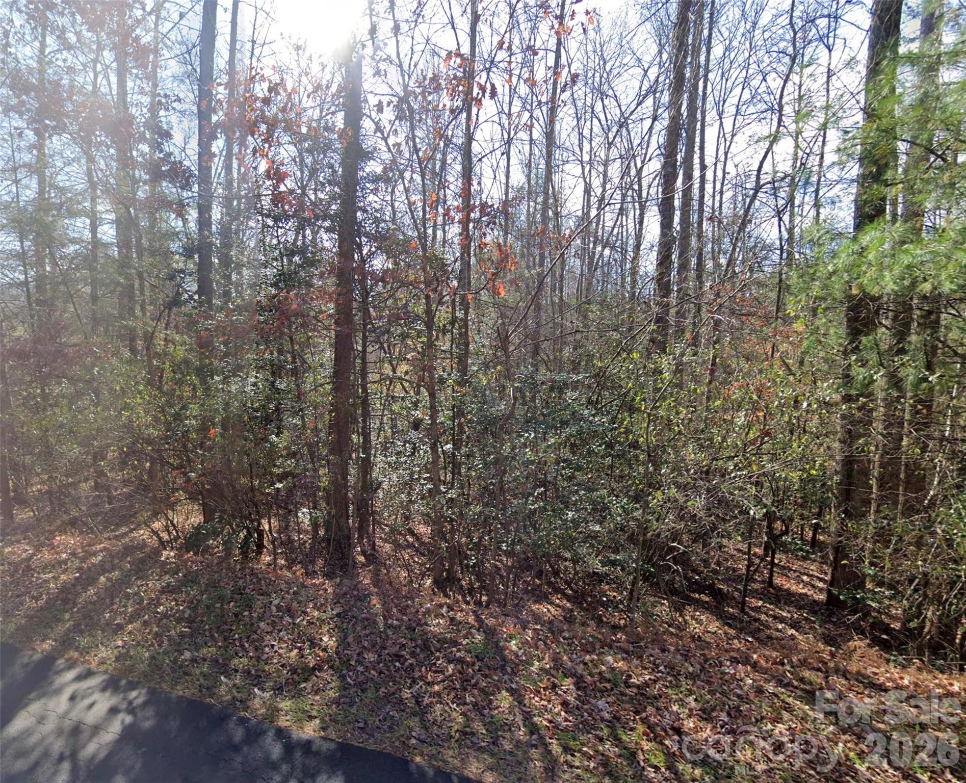 0 Fox Road Old Fort, NC 28762 - Photo 6 of 28 a view of forest