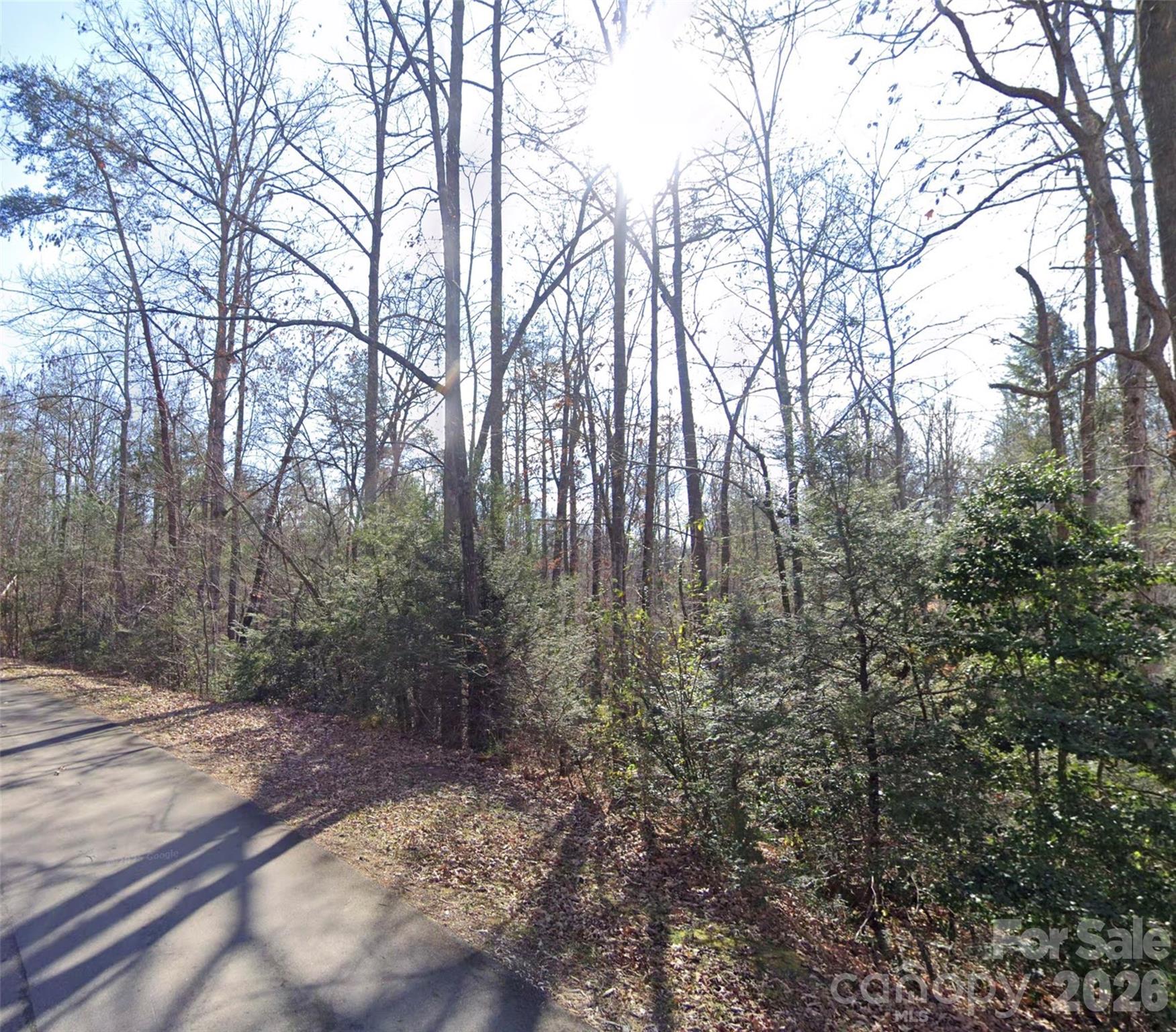 0 Fox Road Old Fort, NC 28762 - Photo 7 of 28 a view of a forest with trees