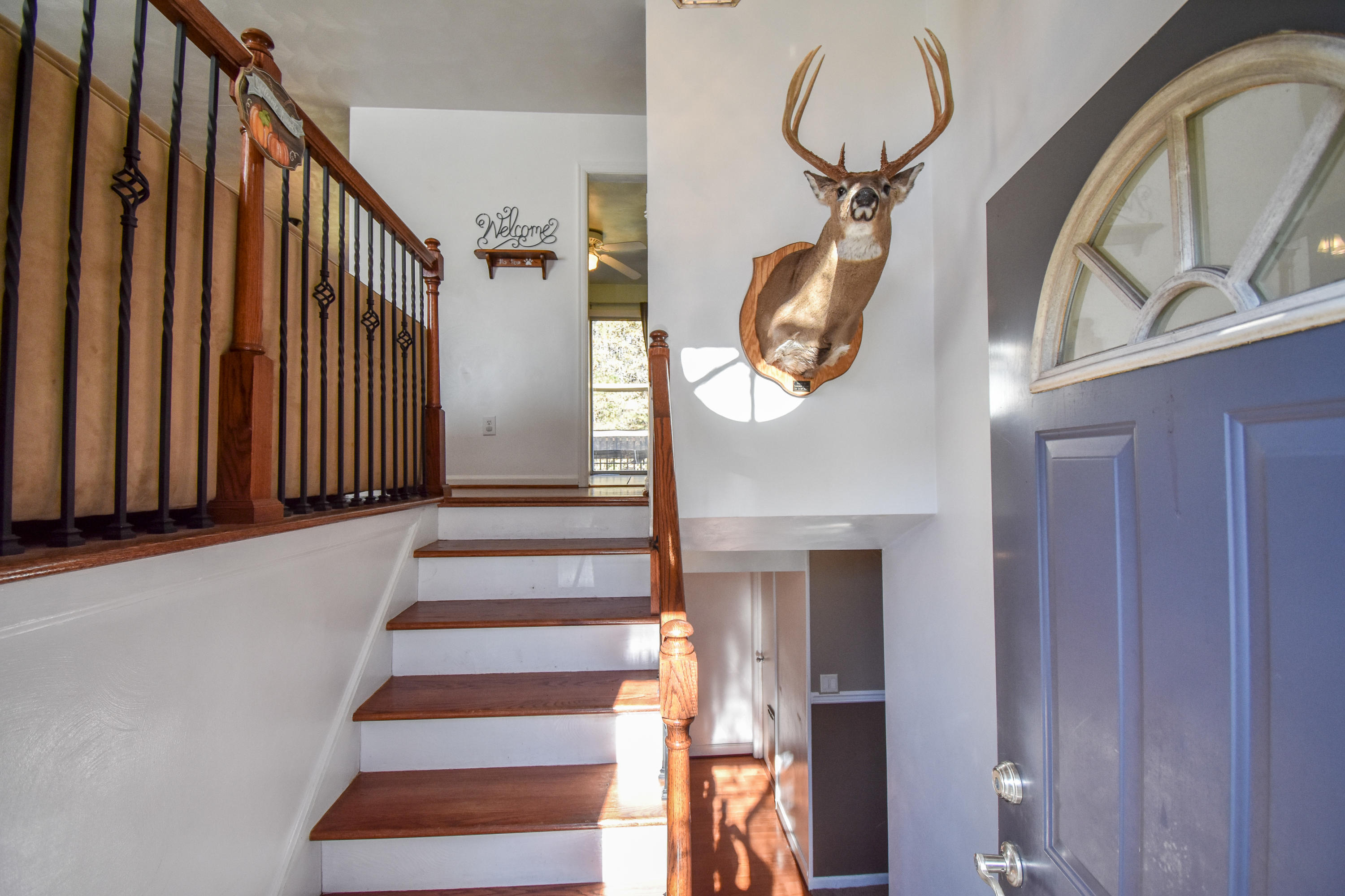 720 Estates Road Southeast Roanoke, VA 24014 - Photo 3 of 22 Fresh paint, updated home!