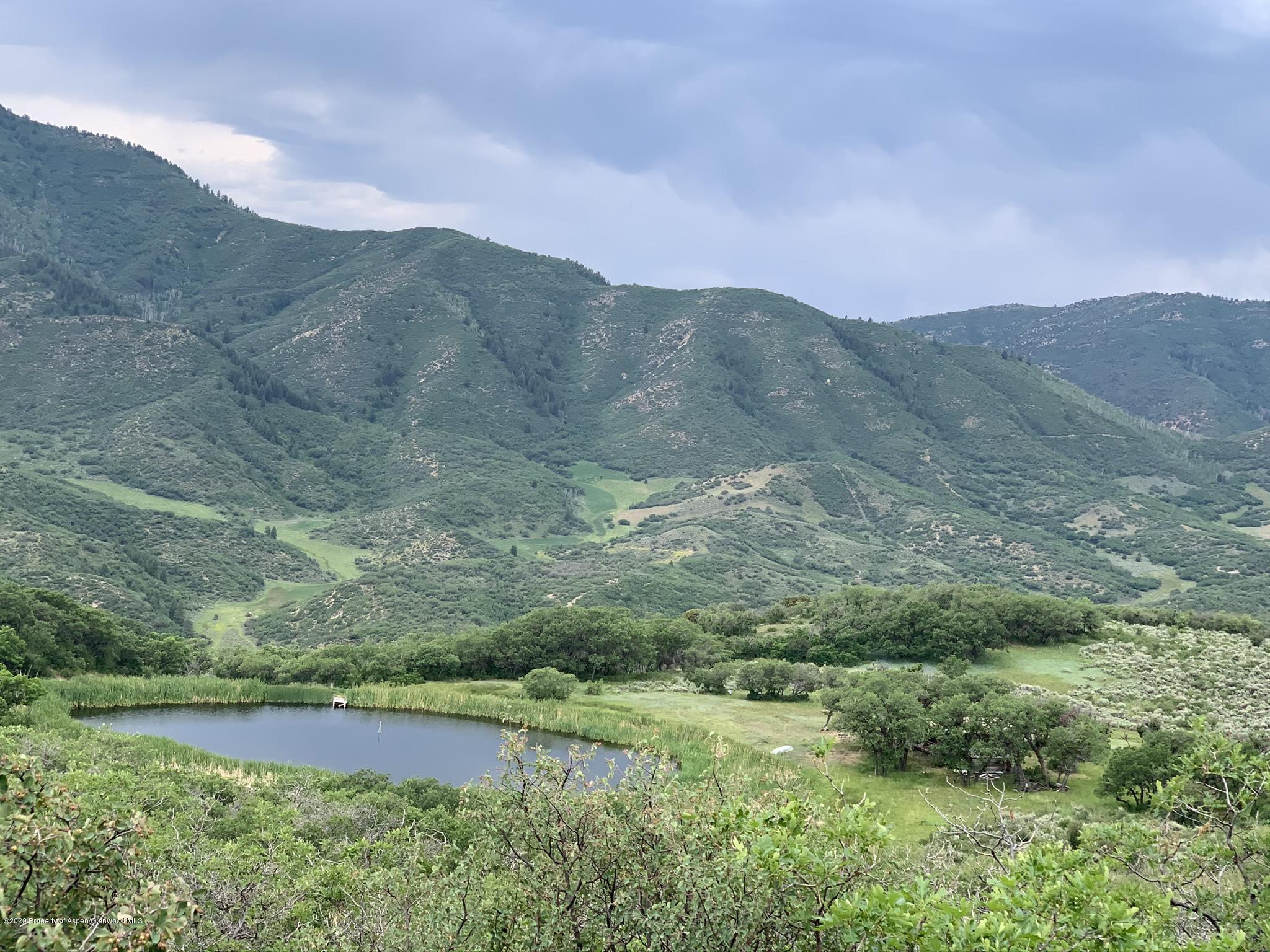 a view of a lush green hillside and a houses