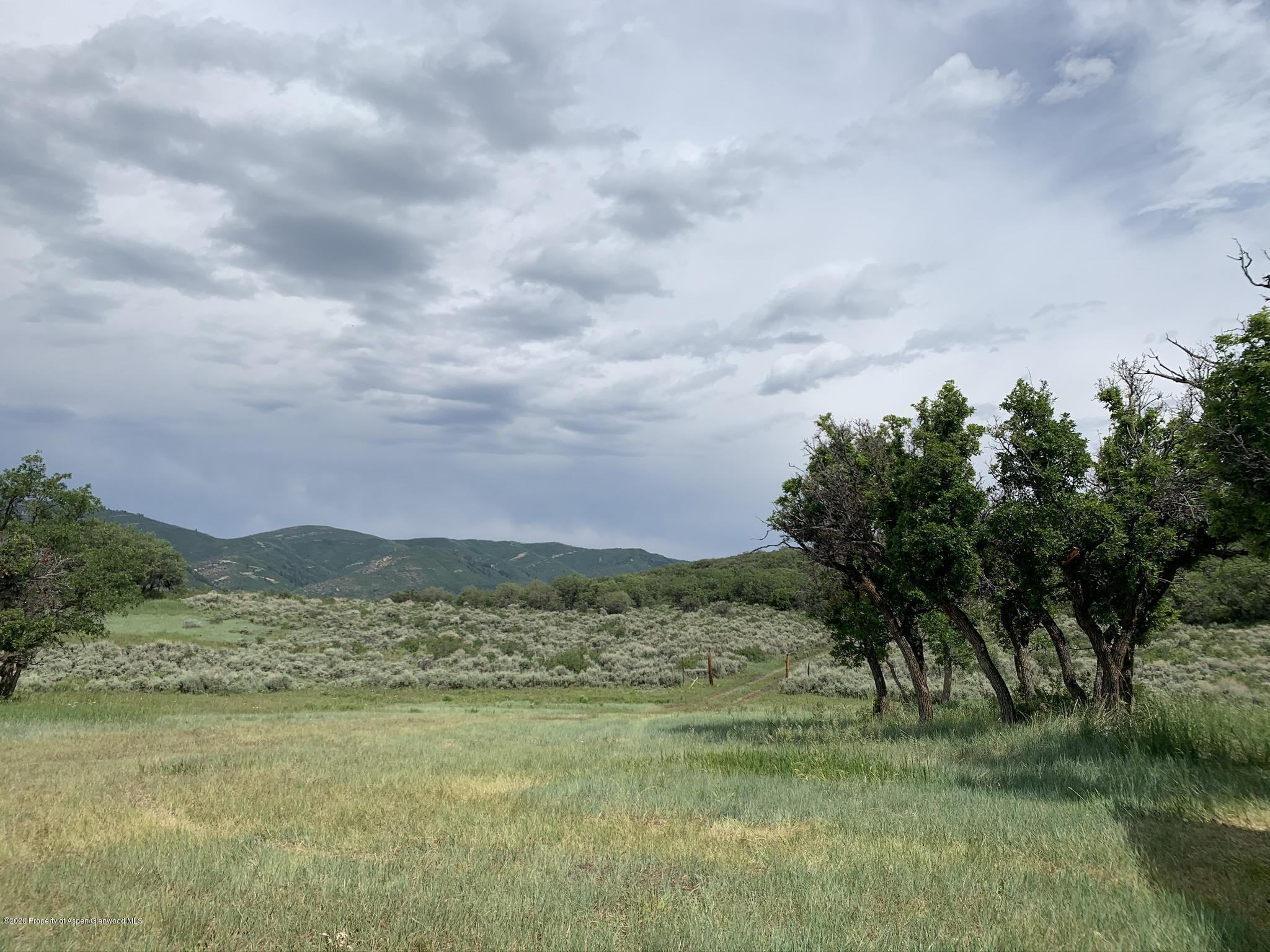 Tbd Wild Acres Ranch Road Rifle, CO 81650 - Photo 14 of 33 a view of a field with an trees in the background