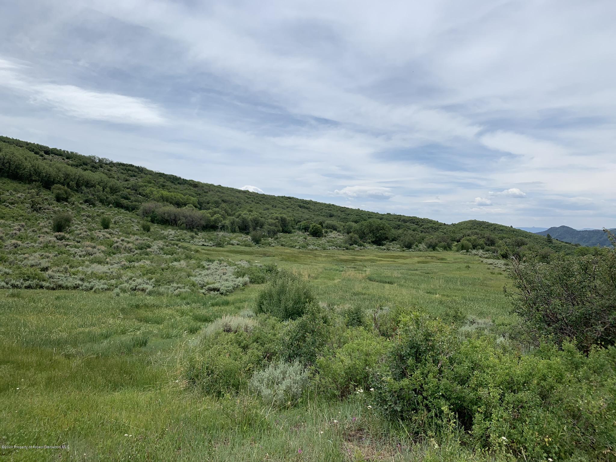 Tbd Wild Acres Ranch Road Rifle, CO 81650 - Photo 19 of 33 a view of a green field with lots of bushes
