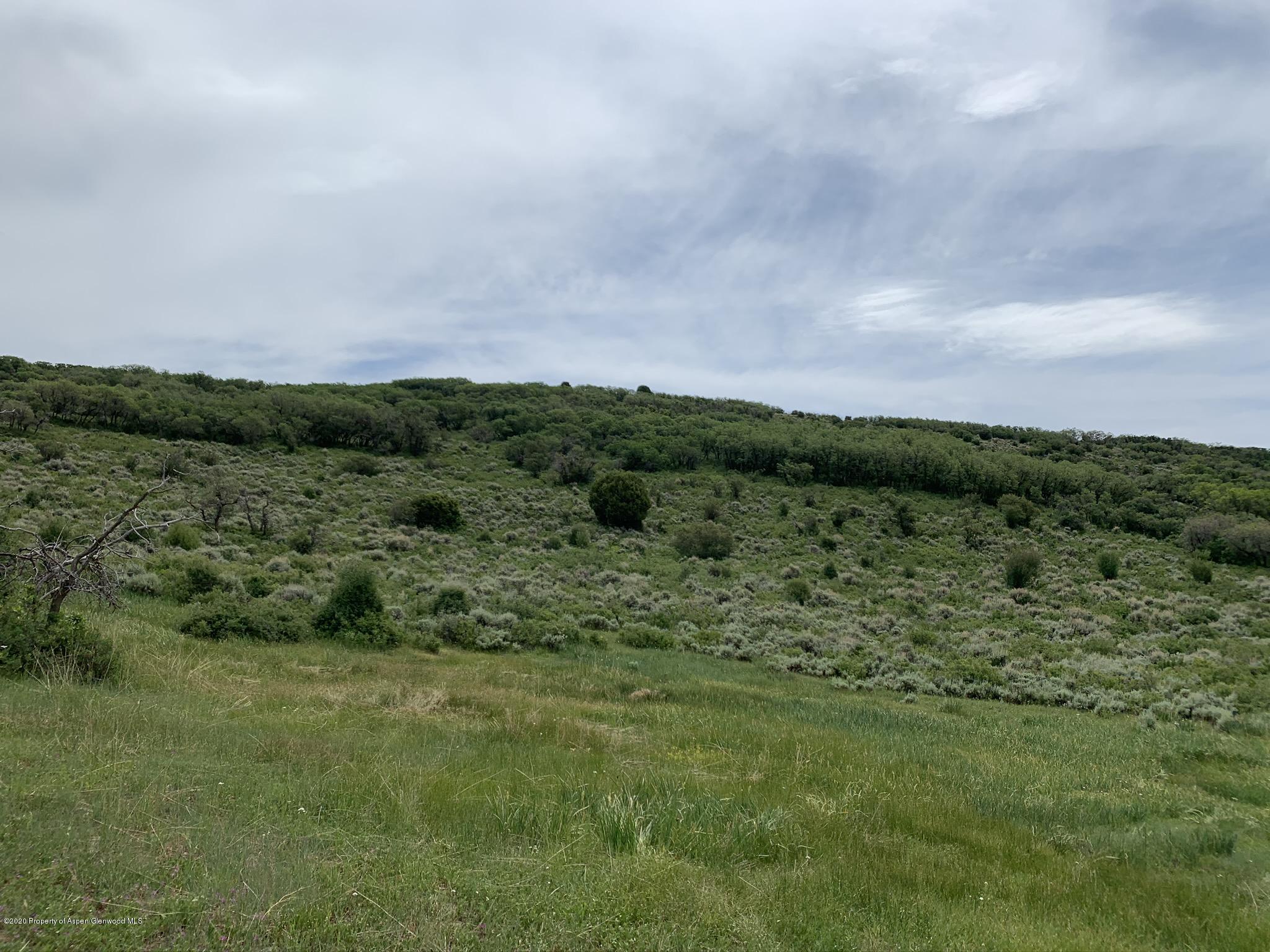 Tbd Wild Acres Ranch Road Rifle, CO 81650 - Photo 20 of 33 a view of a green field with lots of trees