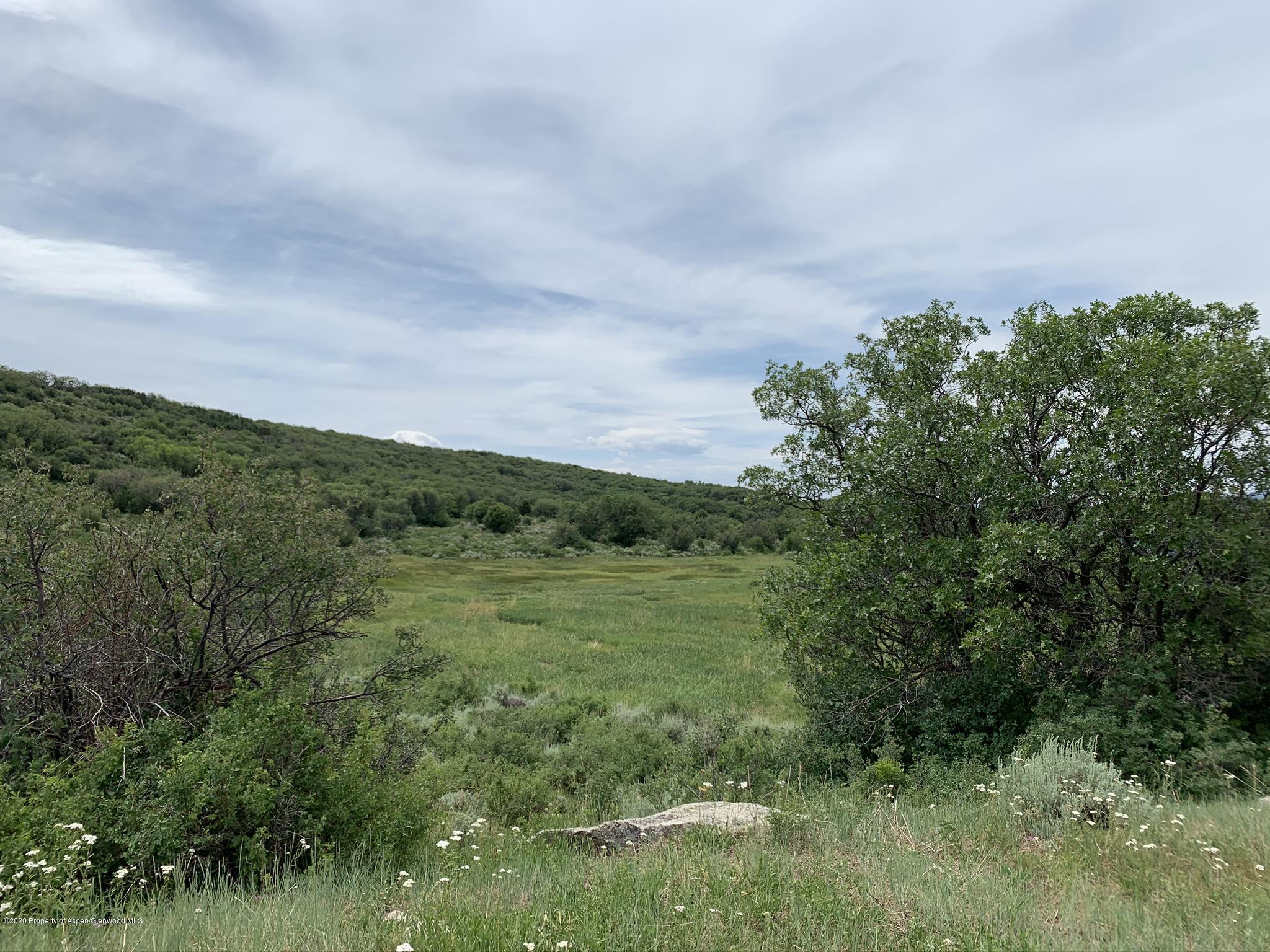 Tbd Wild Acres Ranch Road Rifle, CO 81650 - Photo 22 of 33 a view of a field of grass and trees