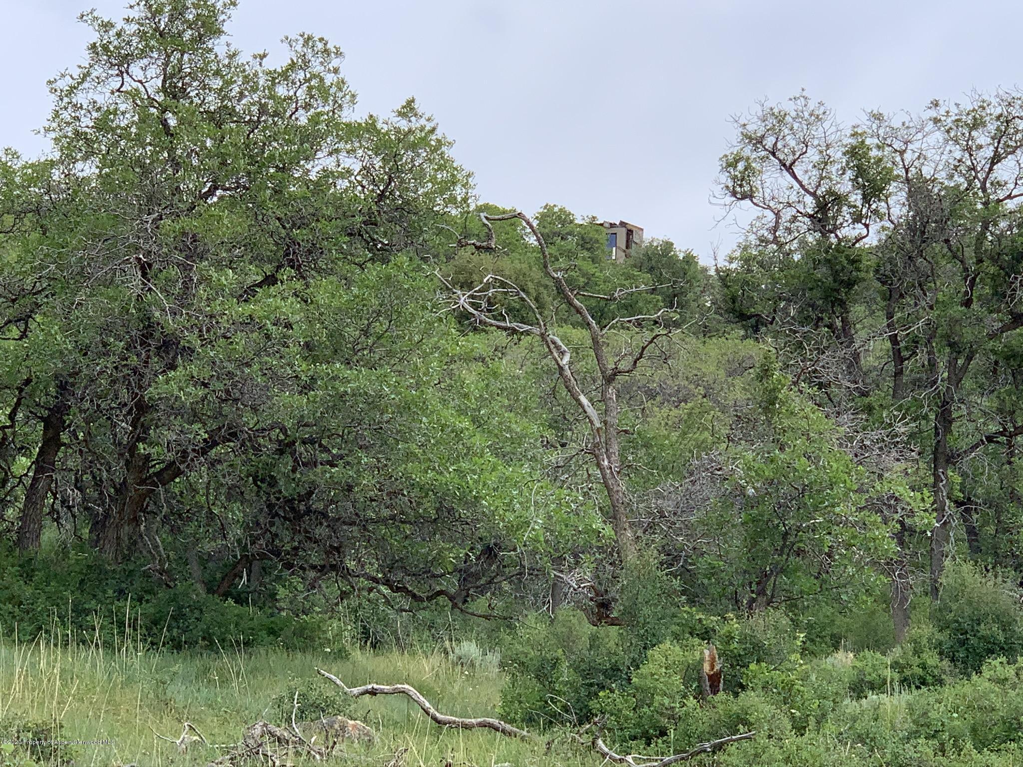 Tbd Wild Acres Ranch Road Rifle, CO 81650 - Photo 24 of 33 a view of a lush green forest with lots of trees