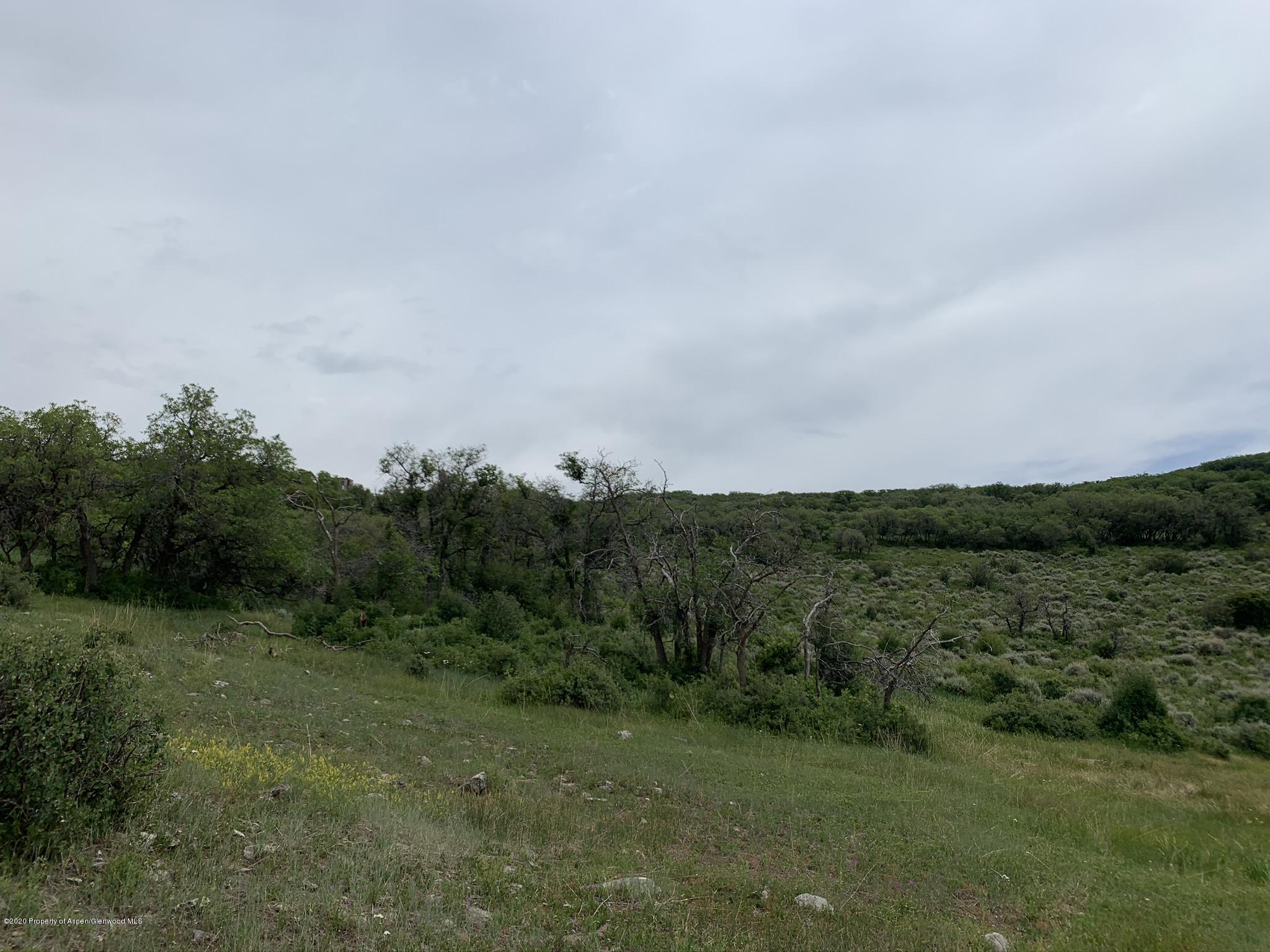 Tbd Wild Acres Ranch Road Rifle, CO 81650 - Photo 25 of 33 a view of a field of grass and trees