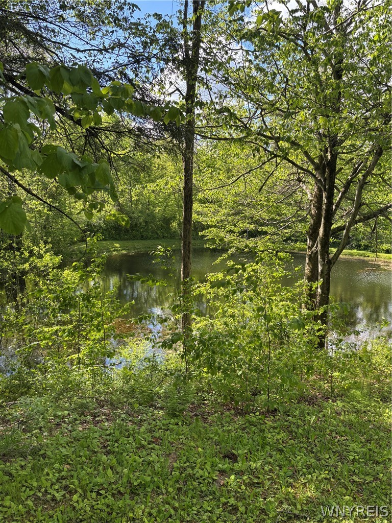 10147 Savage Road Sardinia, NY 14080 - Photo 15 of 21