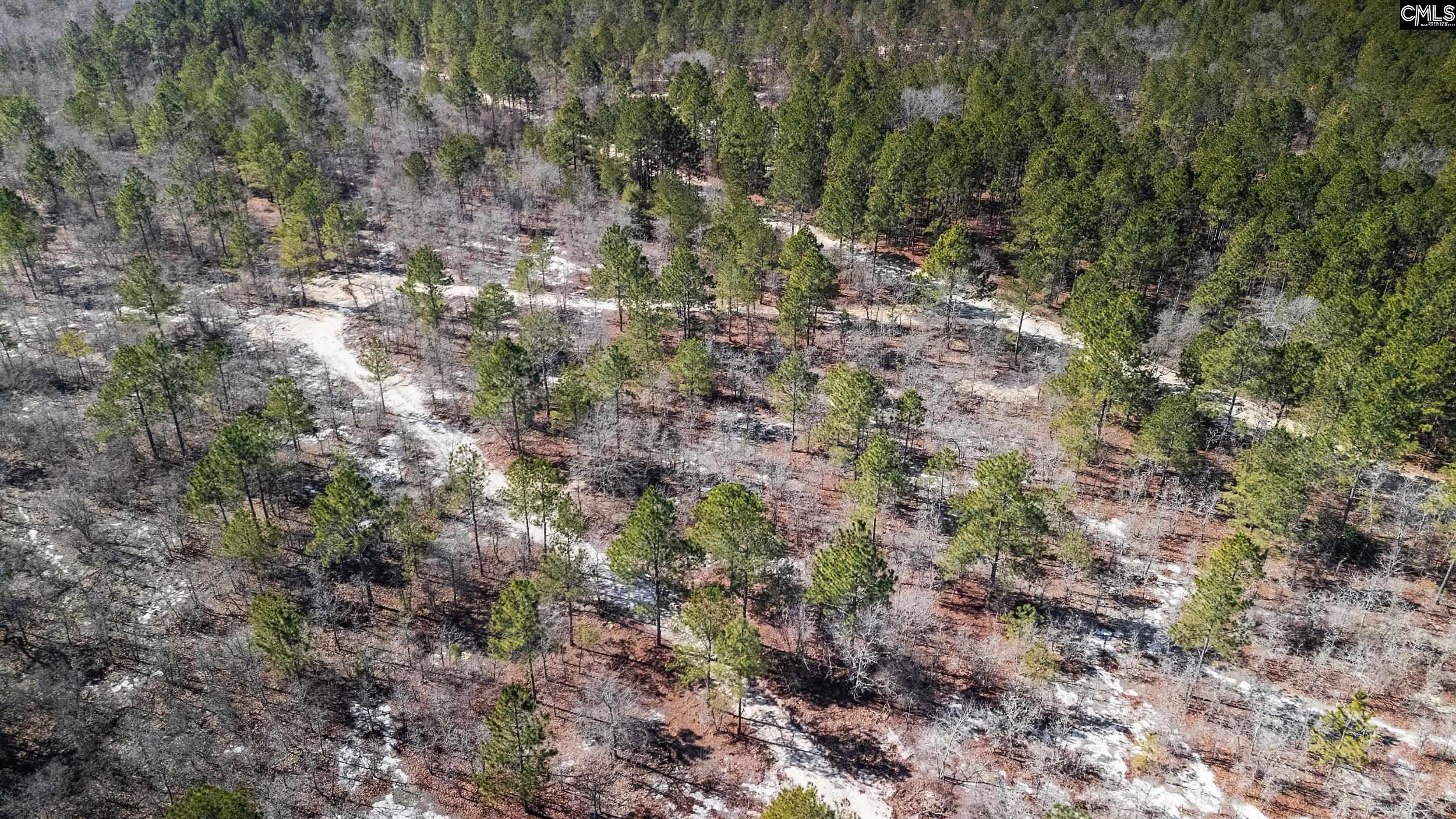 1 Spring Creek Road Lugoff, SC 29078 - Photo 1 of 14