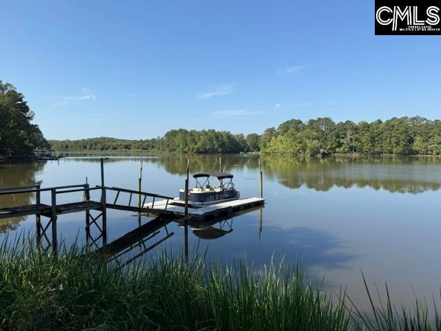 2199 Great North Road Winnsboro, SC 29180 - Photo 30 of 42 Gallery Image 30