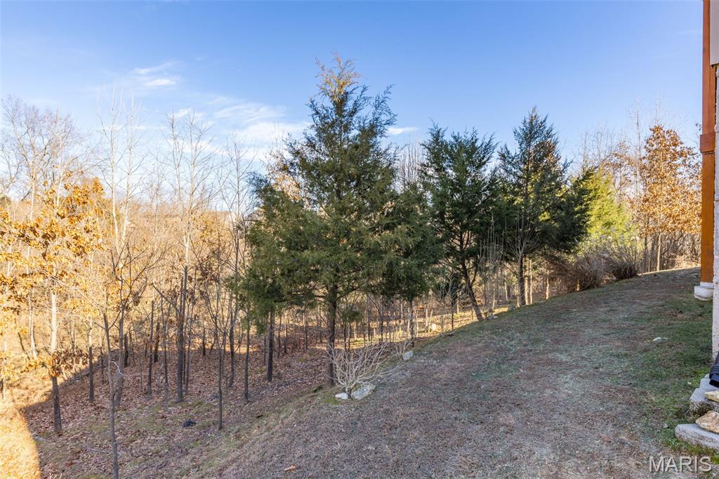 100 Regency Court Herculaneum, MO 63048 - Photo 34 of 44