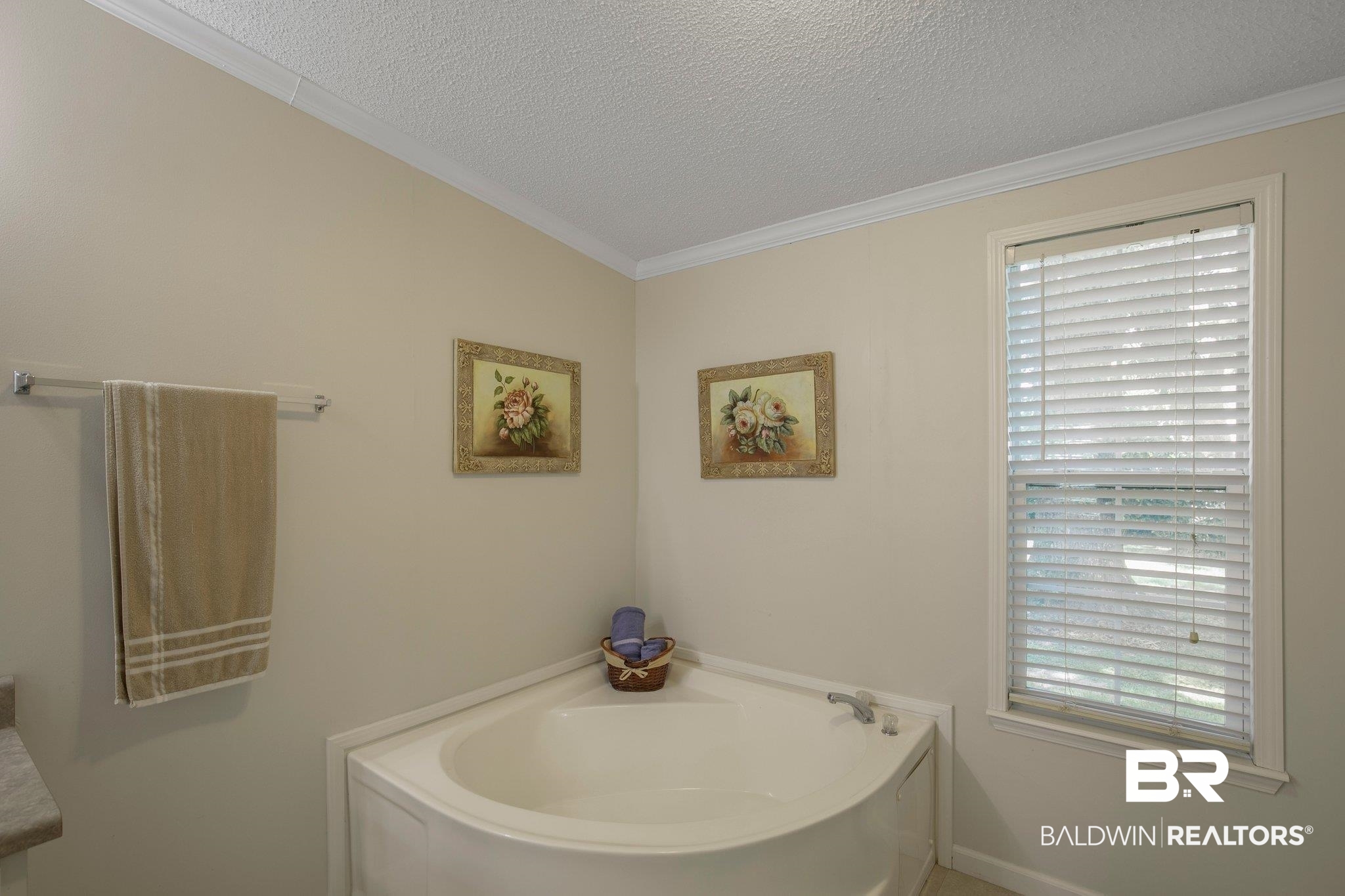 11651 County Road 48 Fairhope, AL 36532 - Photo 32 of 38 Garden Tub