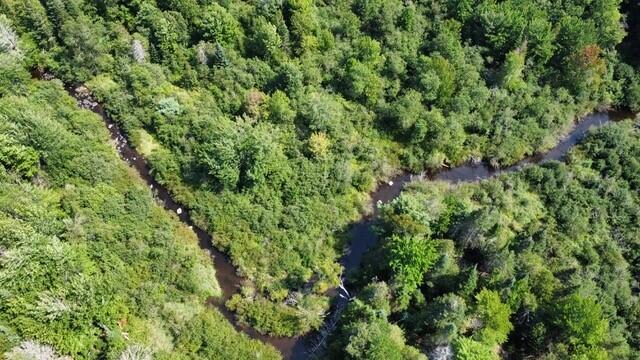 586 Lower Dedham Road Dedham, ME 04429 - Photo 3 of 17 3