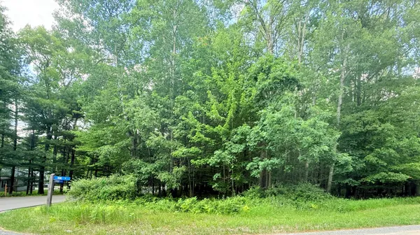$9,000 | 9760 Main Street, Canadian Lakes, MI 49346
