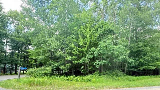 $9,000 | 9760 Main Street, Stanwood, MI 49346