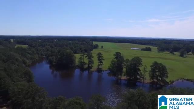 1854 Claud Fleahop Road, Unit 129 4 Eclectic, AL 36024 - Photo 4 of 50