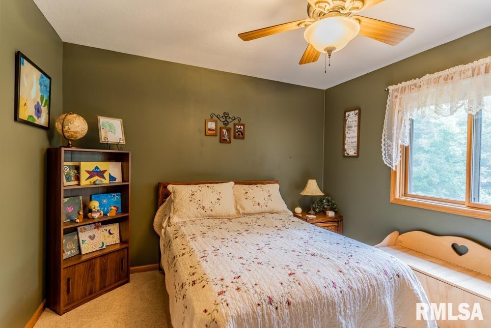 227 Redbird Way Metamora, IL 61548 - Photo 15 of 45 Gallery Image 15