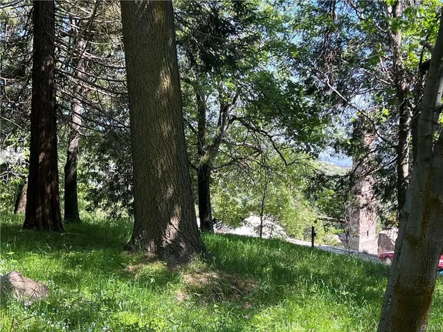 a view of outdoor space and yard