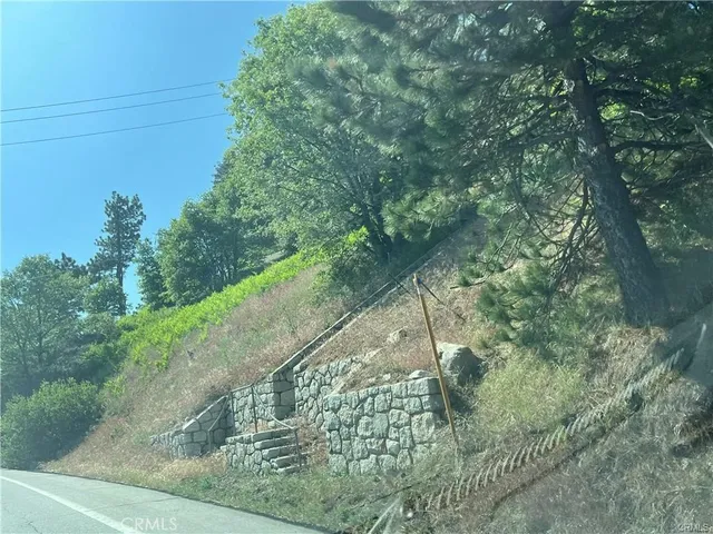 a view of a yard with plants and a bench