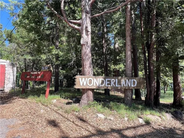 a view of a park with large trees