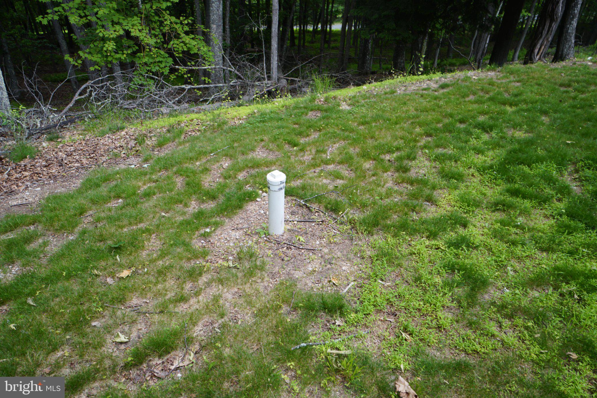 150 Sharp Ridge Lane Franklin, WV 26807 - Photo 16 of 69 Quiet corner of nature's embrace.