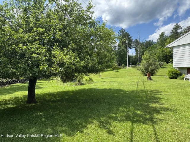 a view of a garden with a tree