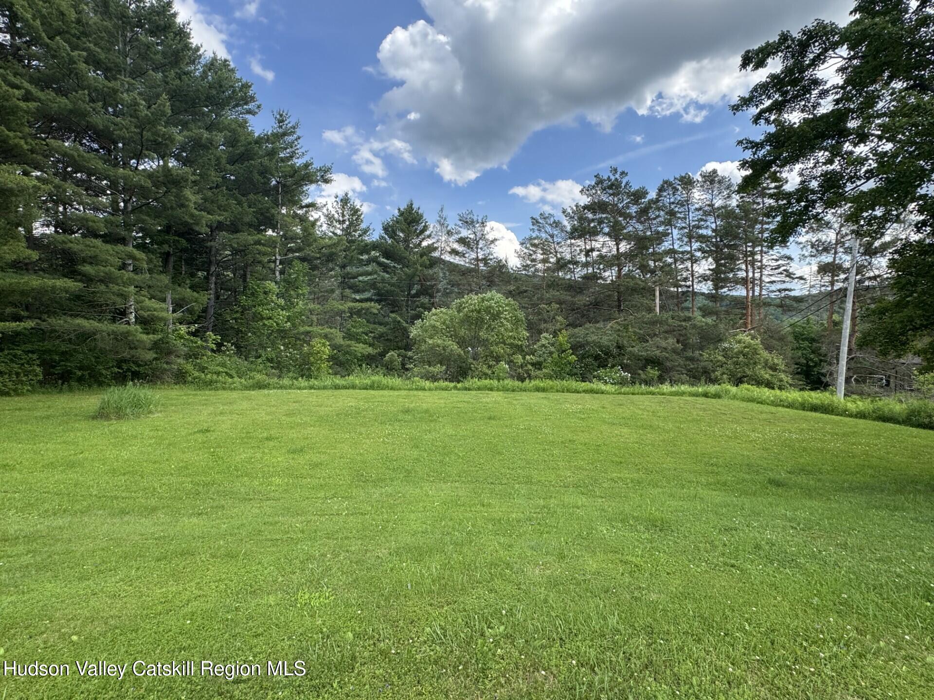 20 Slater Road Windham, NY 12454 - Photo 39 of 47 a view of a field of grass and trees