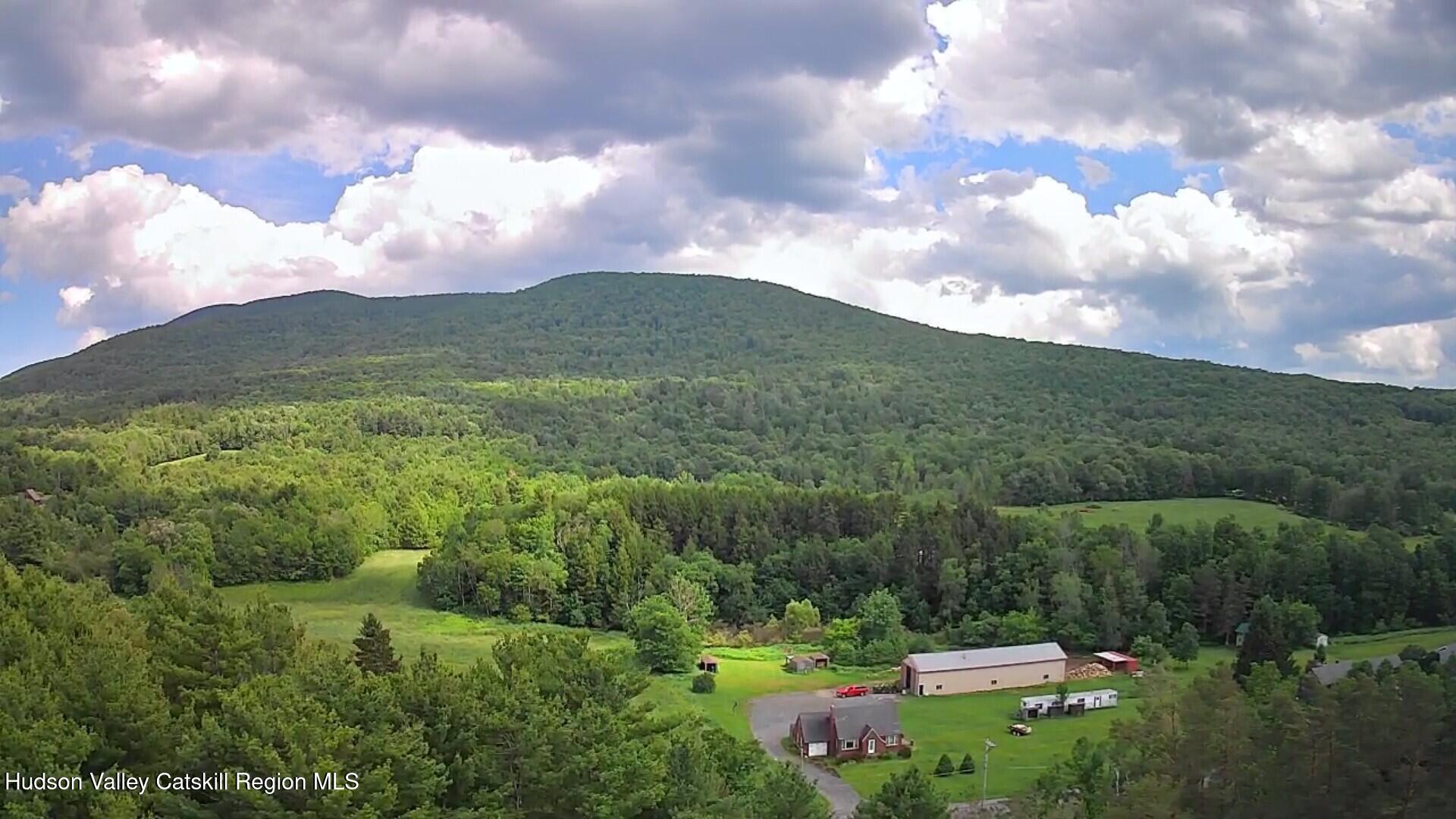 20 Slater Road Windham, NY 12454 - Photo 40 of 47 a view of a city with lush green forest