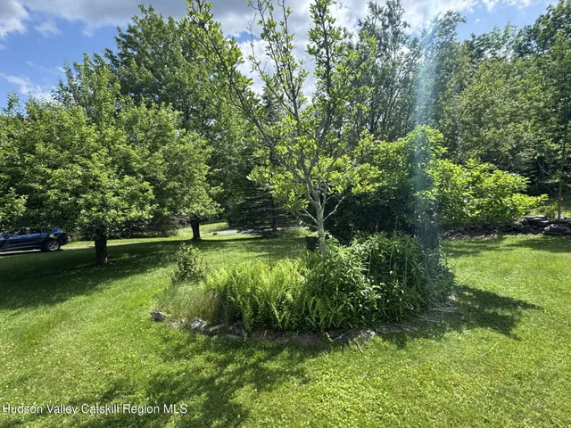 a view of a city with lush green forest