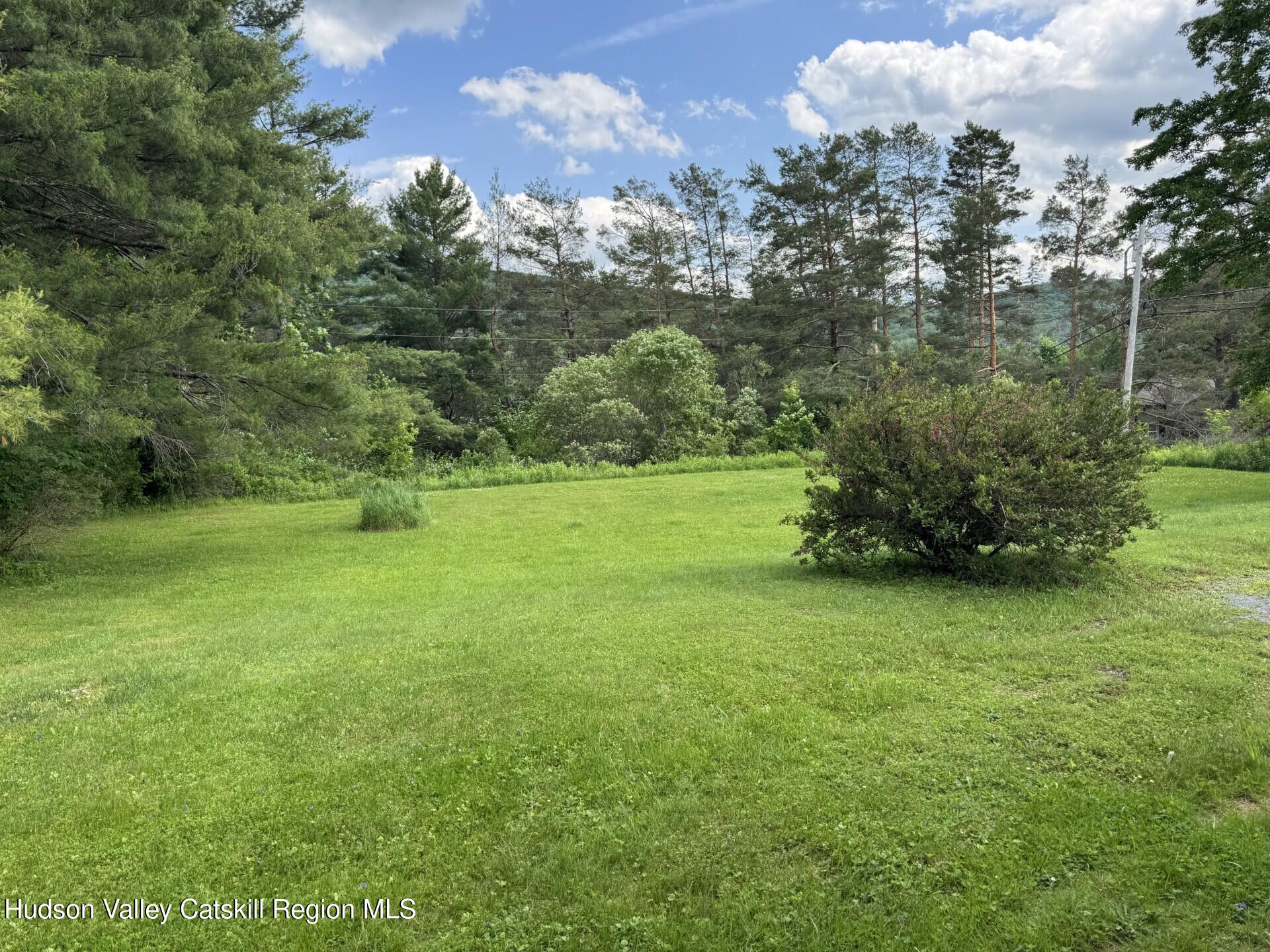 20 Slater Road Windham, NY 12454 - Photo 41 of 47 a view of a grassy field with trees