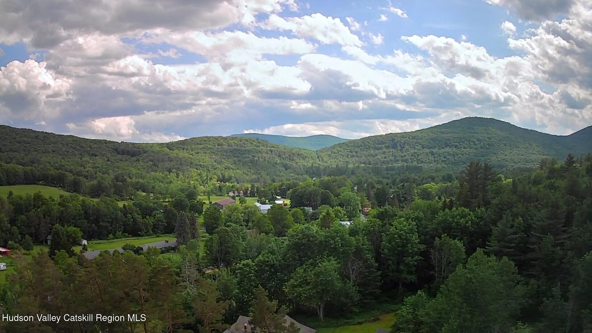 20 Slater Road Windham, NY 12454 - Photo 44 of 47 a view of a city and a lots of trees