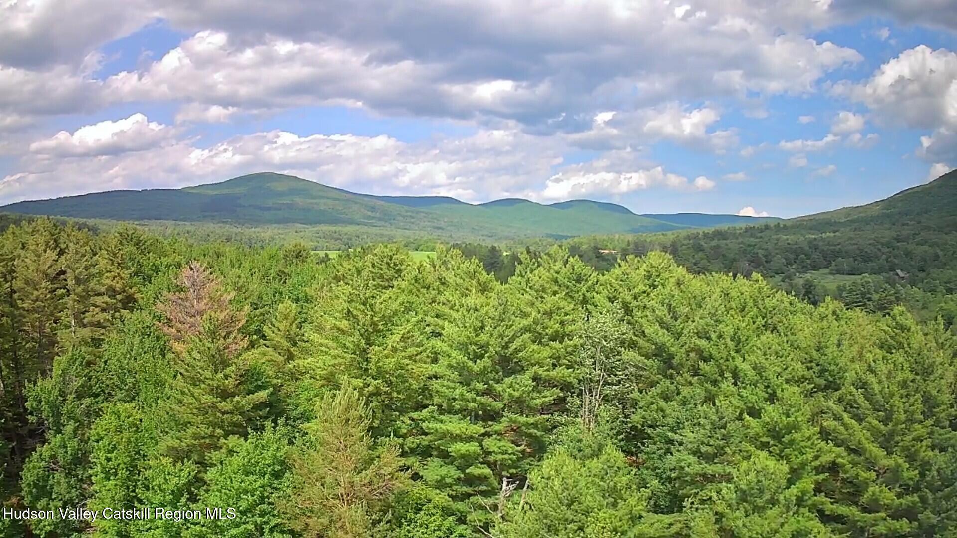 20 Slater Road Windham, NY 12454 - Photo 5 of 47 a view of a city with lush green forest