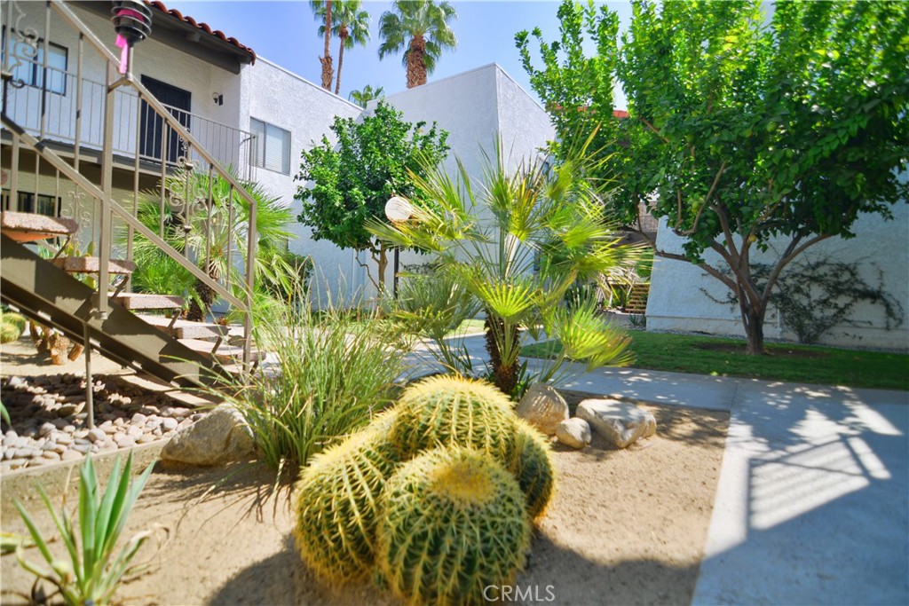 250 East San Jose Road, Unit 63 Palm Springs, CA 92264 - Photo 18 of 22 a view of a yard with plants and trees