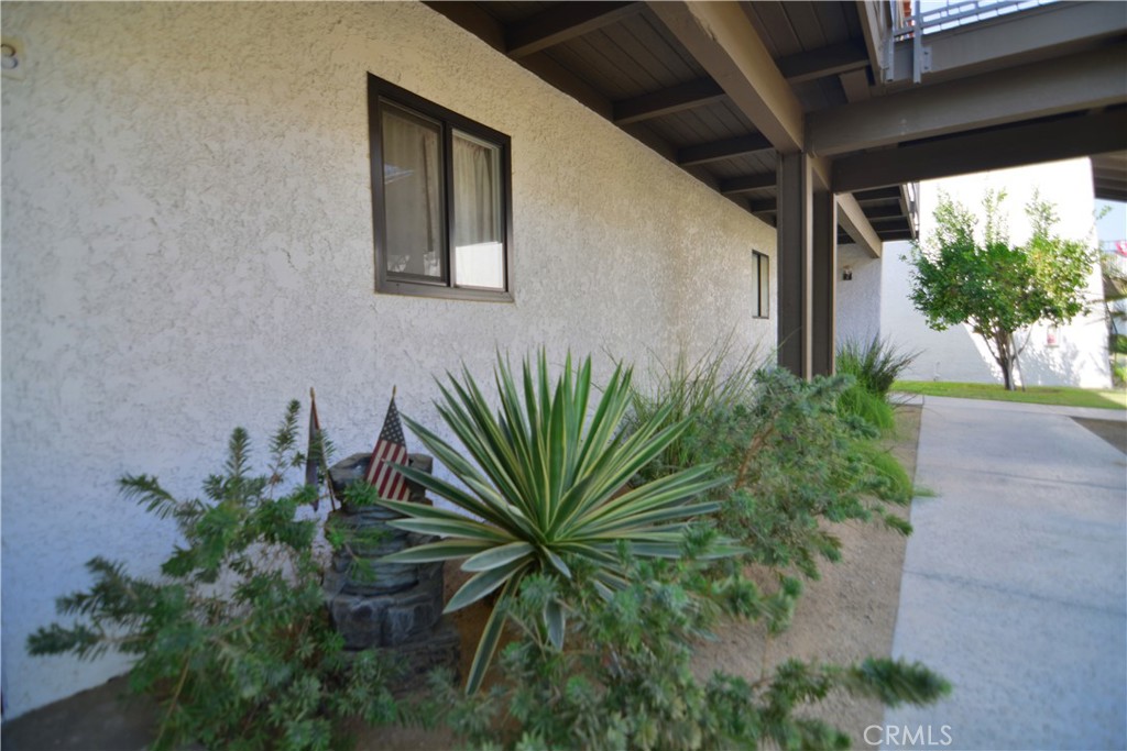 250 East San Jose Road, Unit 63 Palm Springs, CA 92264 - Photo 22 of 22 a view of a plant in a yard
