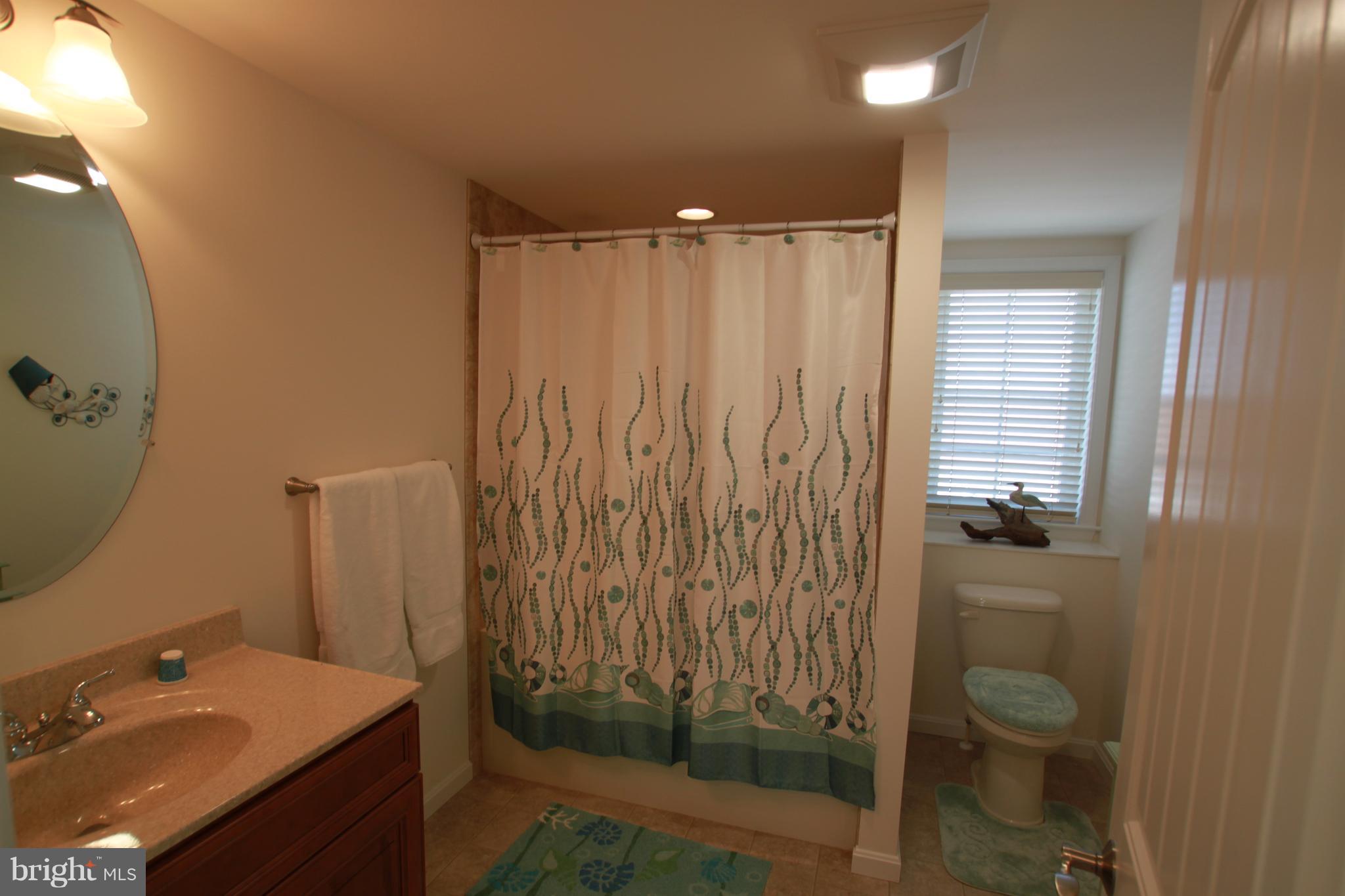 163 Pine Tree Road Ocean City, MD 21842 - Photo 37 of 57 2nd floor bath