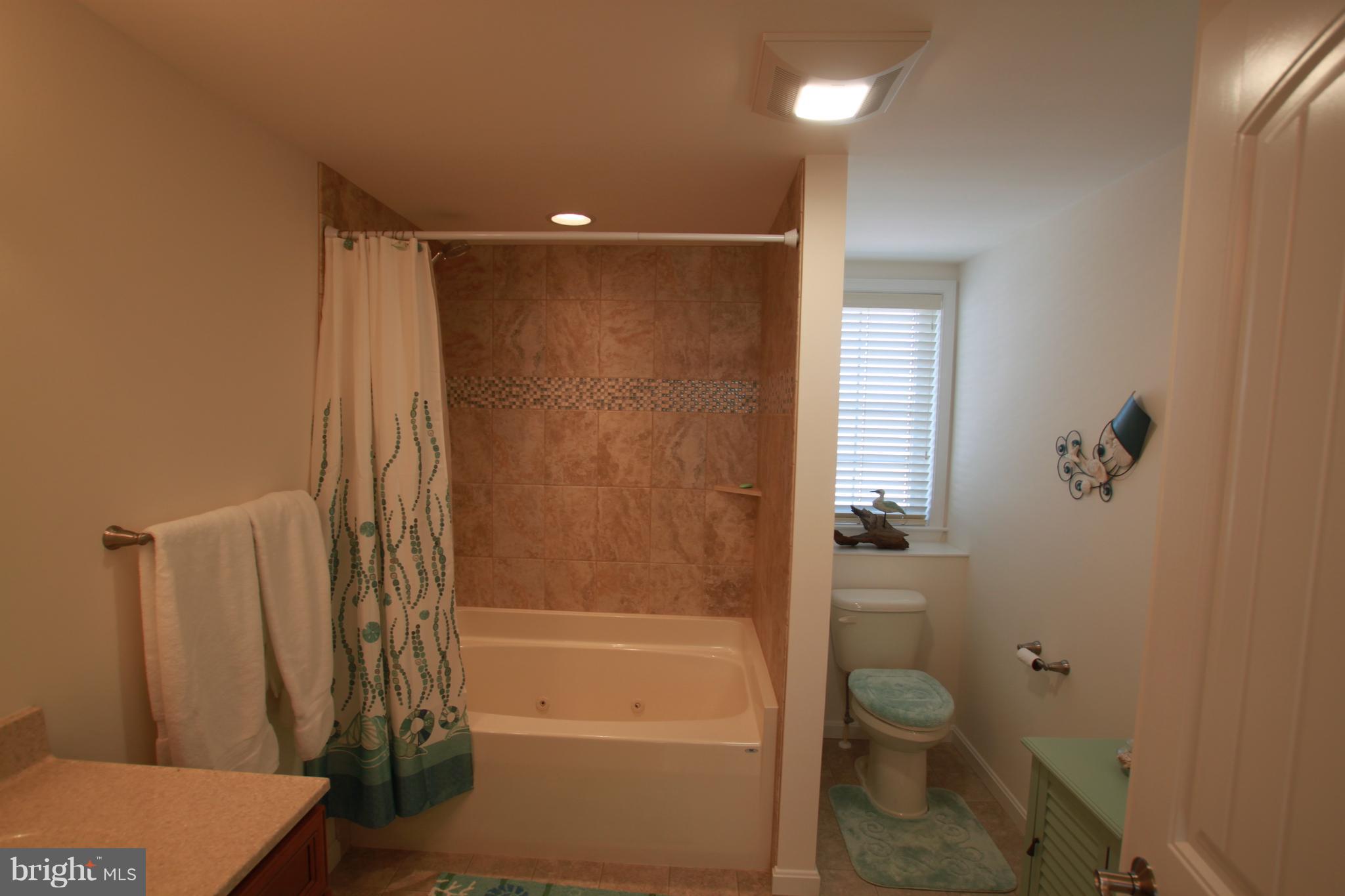 163 Pine Tree Road Ocean City, MD 21842 - Photo 38 of 57 Gallery Image 38