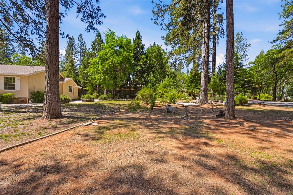 12600 Friar Tuck Road Grass Valley, CA 95949 - Photo 42 of 56 a view of a tree in front of a house