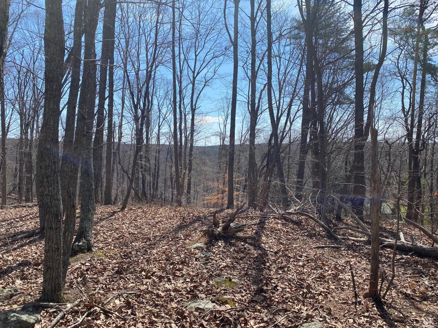 6-lot Country Club Road Appomattox, VA 24522 - Photo 2 of 7 Gallery Image 2