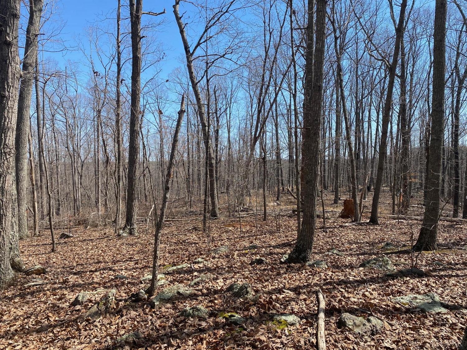 6-lot Country Club Road Appomattox, VA 24522 - Photo 3 of 7 Gallery Image 3