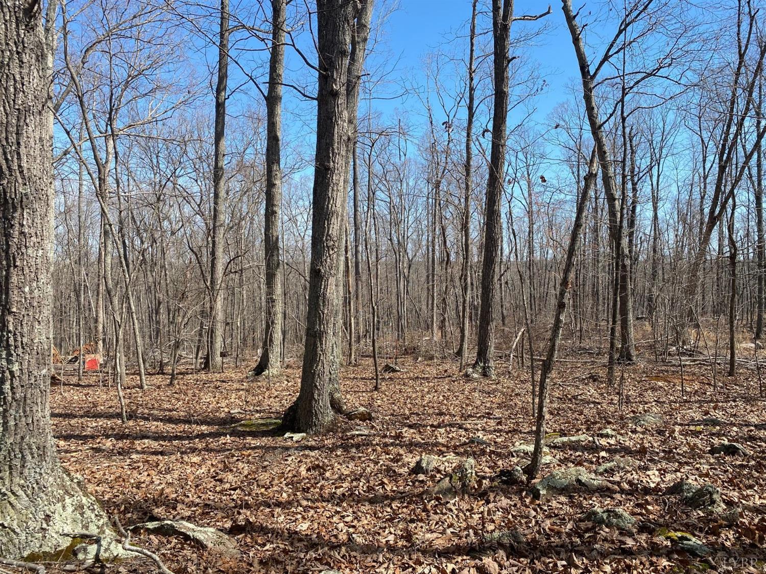 6-lot Country Club Road Appomattox, VA 24522 - Photo 4 of 7 Gallery Image 4