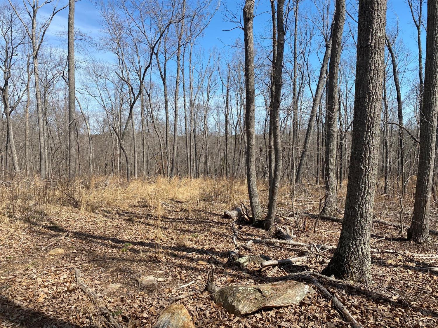 6-lot Country Club Road Appomattox, VA 24522 - Photo 7 of 7 Gallery Image 7