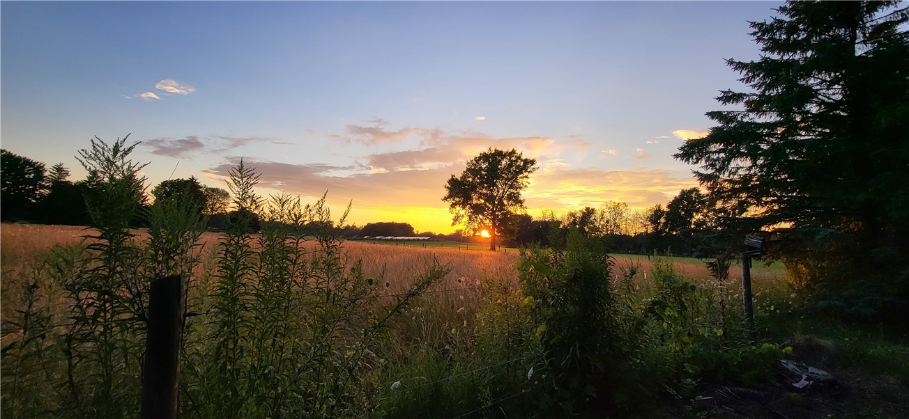 5681 Walworth Road Ontario, NY 14519 - Photo 4 of 48 Backyard sunset