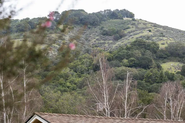 $1,495,000 | 55 Las Casas Drive, San Rafael, CA 94901