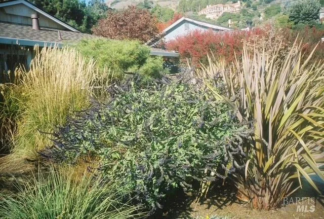 $1,495,000 | 55 Las Casas Drive, San Rafael, CA 94901