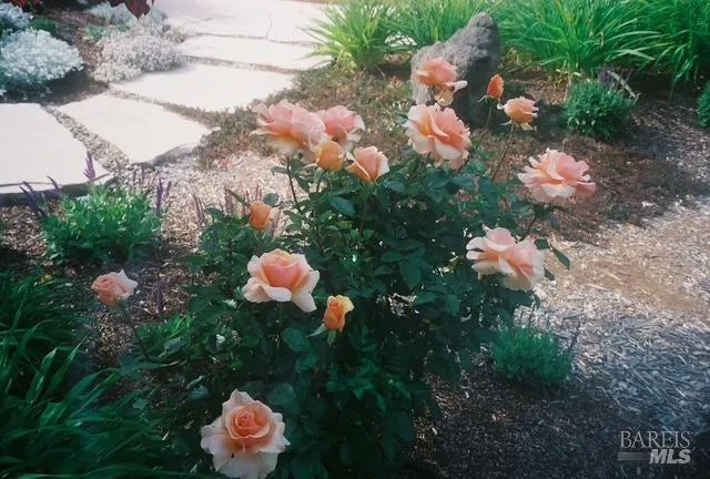 $1,495,000 | 55 Las Casas Drive, San Rafael, CA 94901