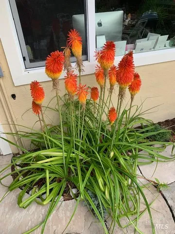 $1,495,000 | 55 Las Casas Drive, San Rafael, CA 94901