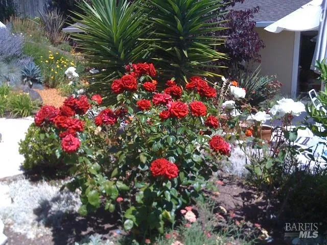 $1,495,000 | 55 Las Casas Drive, San Rafael, CA 94901