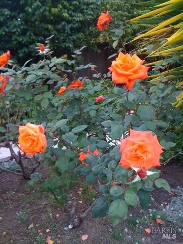 $1,495,000 | 55 Las Casas Drive, San Rafael, CA 94901